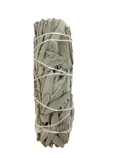 White Sage Plain 4"