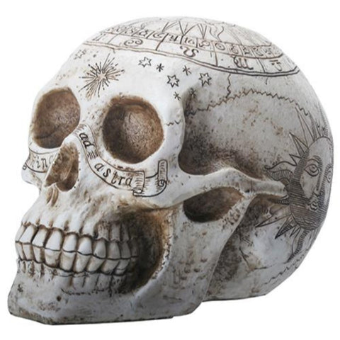 Astrology Skull