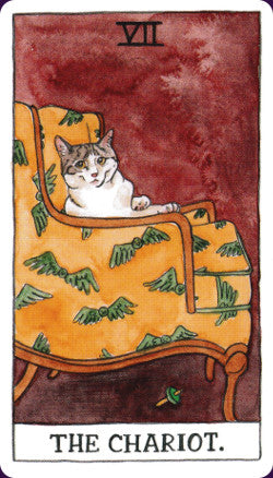Cat Tarot