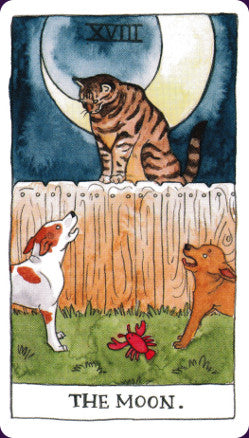 Cat Tarot