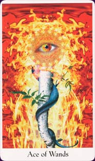 Cosmic Tribe Tarot