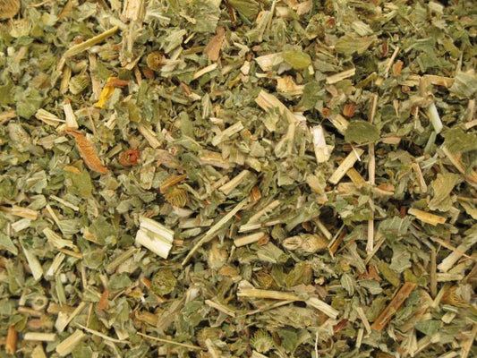 Agrimony,cut