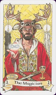 Robin Wood Tarot