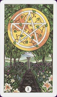 Robin Wood Tarot