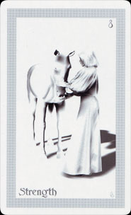 ShadowFox Tarot