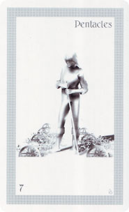 ShadowFox Tarot