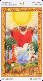 Tarot of White Cats